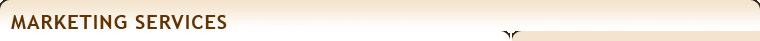 Marketing Services